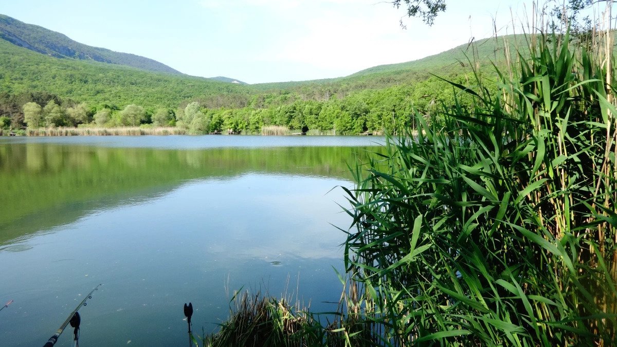 Рыбалка на платных водоёмах: как не стать жертвой мошенников