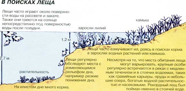Рыбалка на леща в мае на фидер и поплавочную улочку