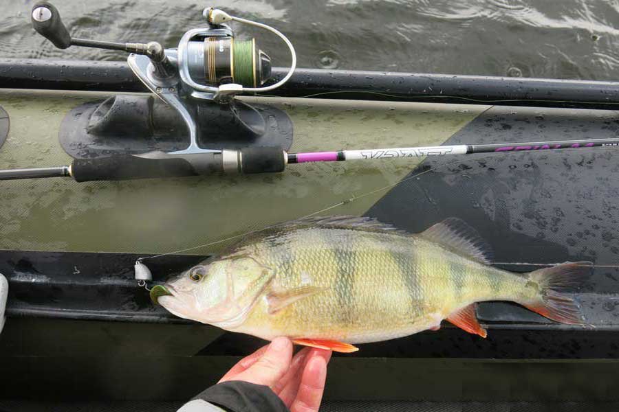 Lucky John Chunk Tail 2,9