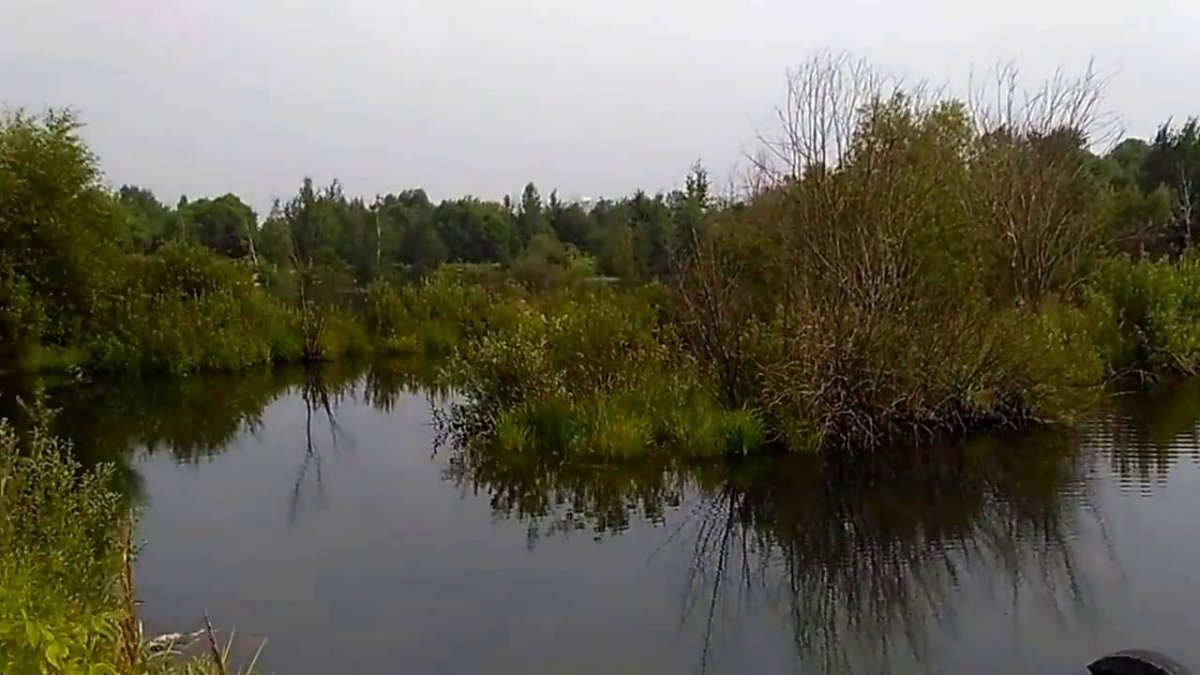 Водоемы