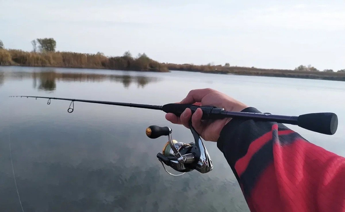 ZEMEX Extra RockFish