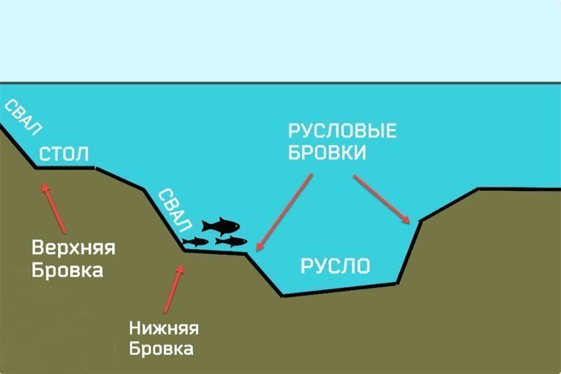 Нижняя бровка
