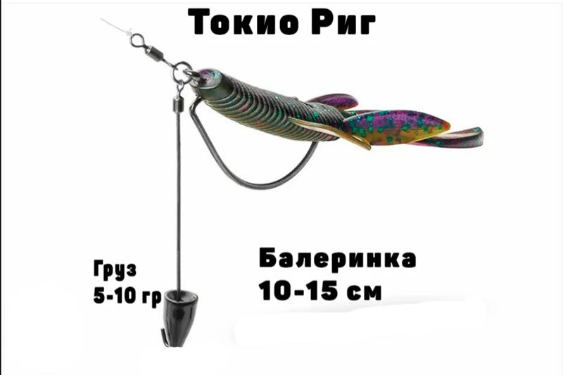Токио-риг (Чупа-чупс)