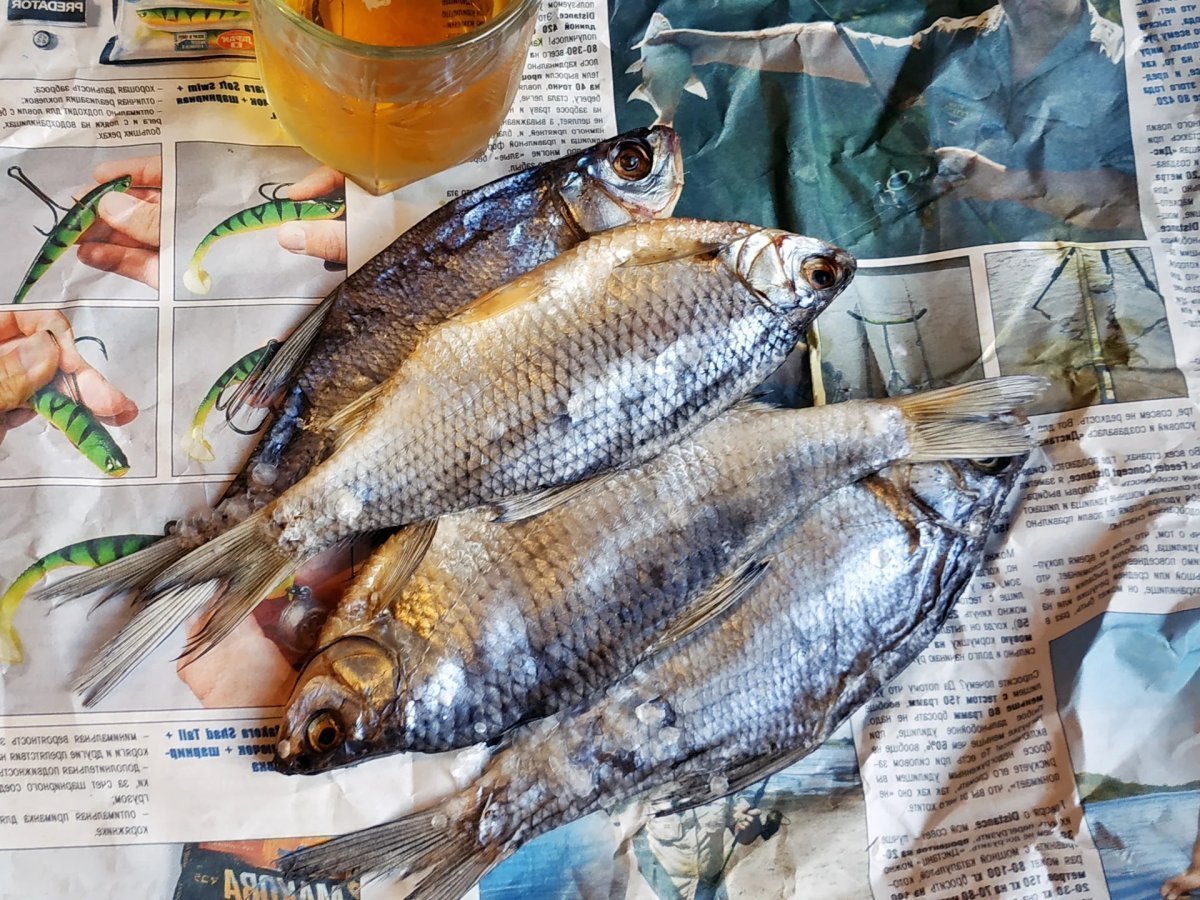 Безопасный и вкусный способ альтернативной засолки и вяления рыбы