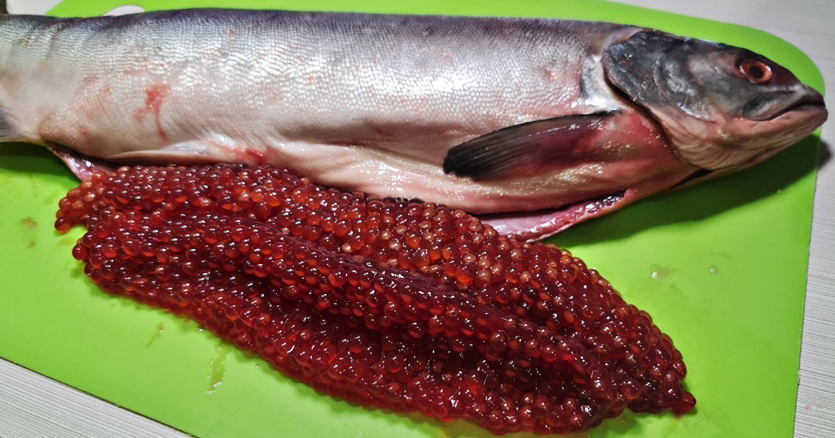 Простой способ как отделить икру от пленки и вкусно её засолить