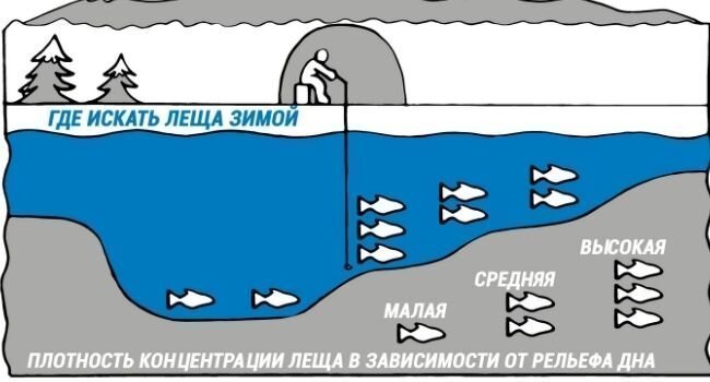 Где стоит лещ зимой на водохранилище