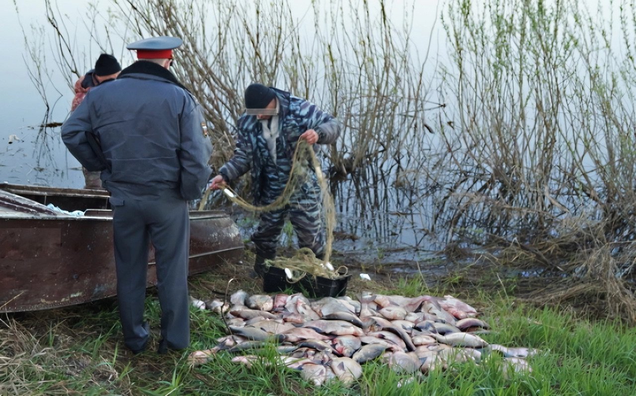 Полный запрет на рыбалку в период нерестового запрета с 2024 года