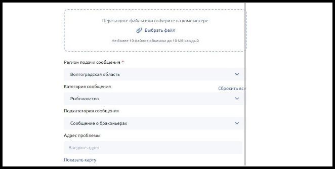 Форма для заполнения выглядит так.