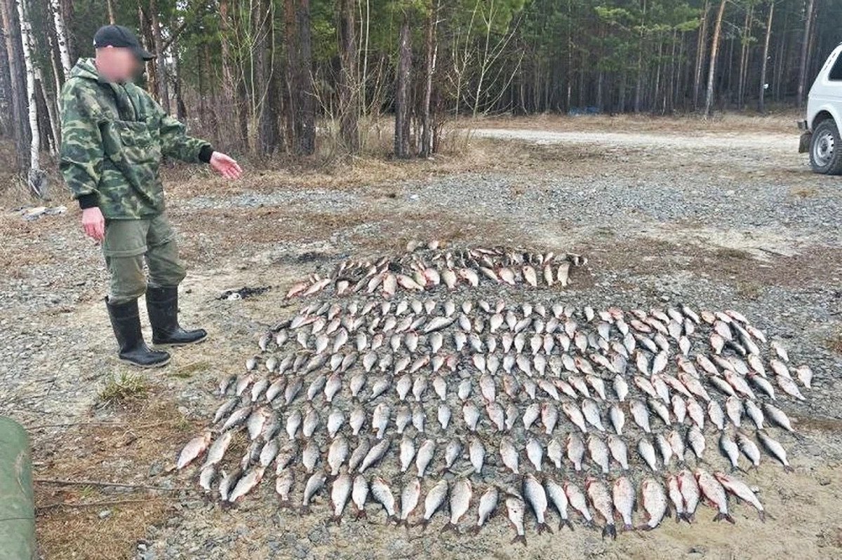 Мужчина незаконно наловил рыбы на 370 тысяч рублей