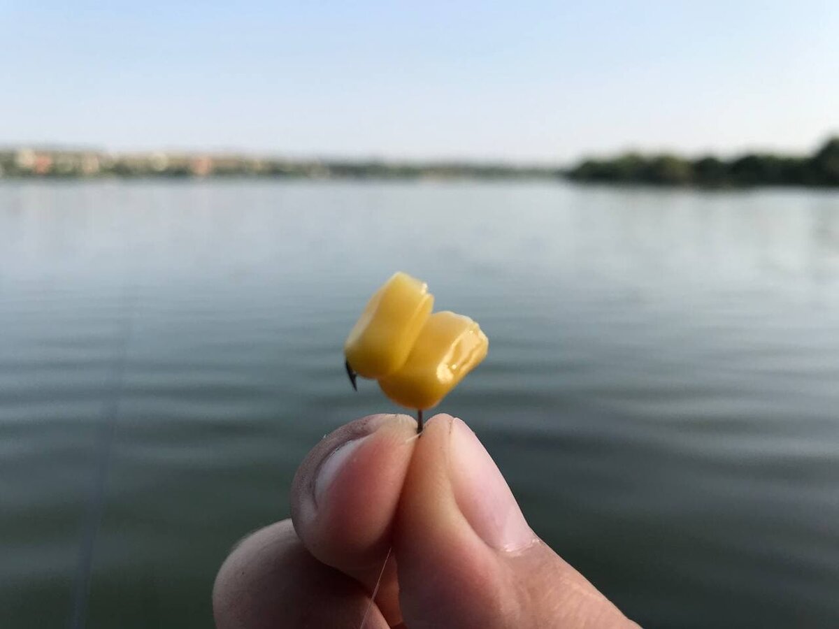 Кукуруза или горох