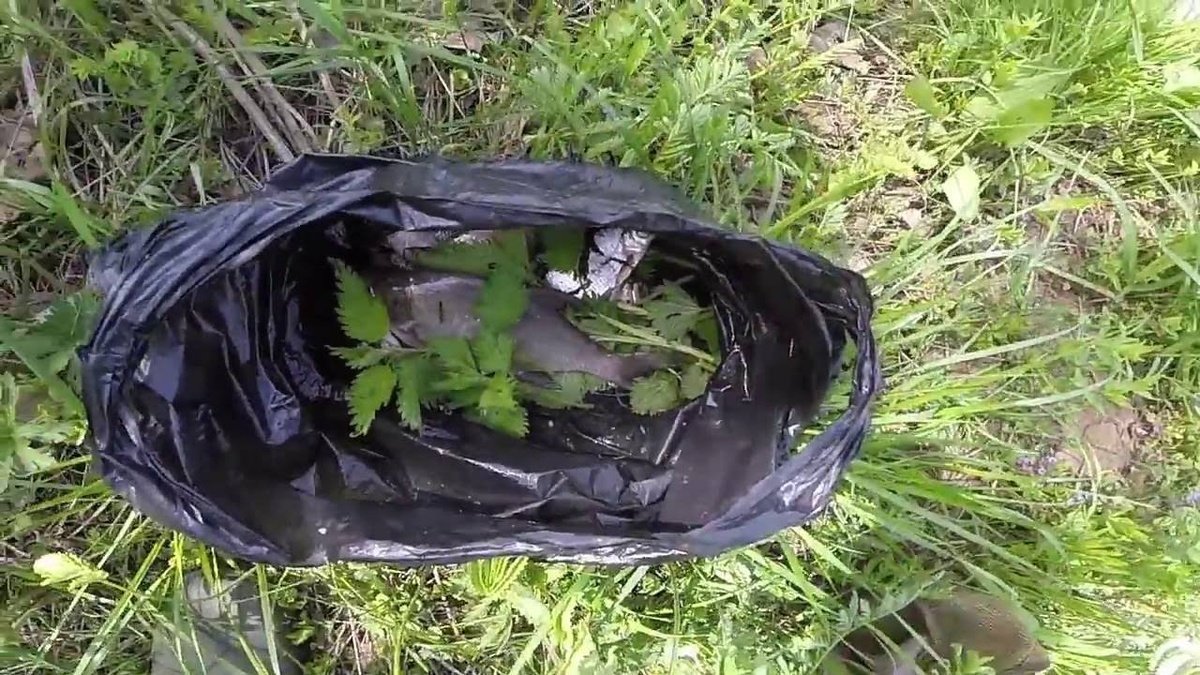 Использование крапивы для хранения