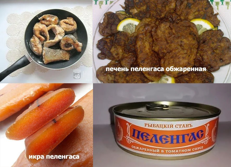 печень у пеленгаса
