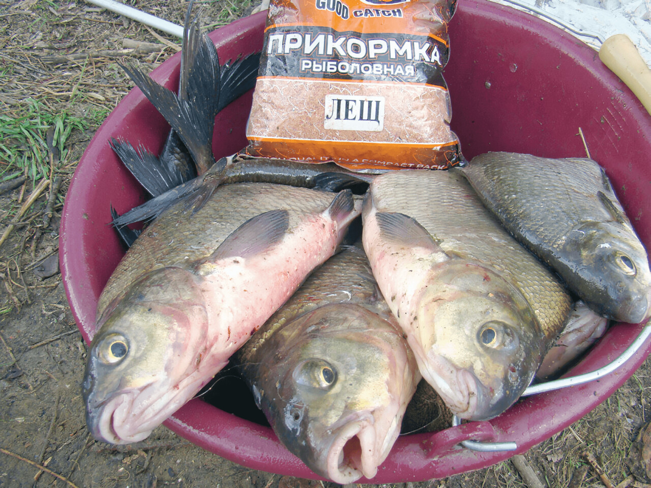 Какая прикормка нужна для успешной ловли леща весной