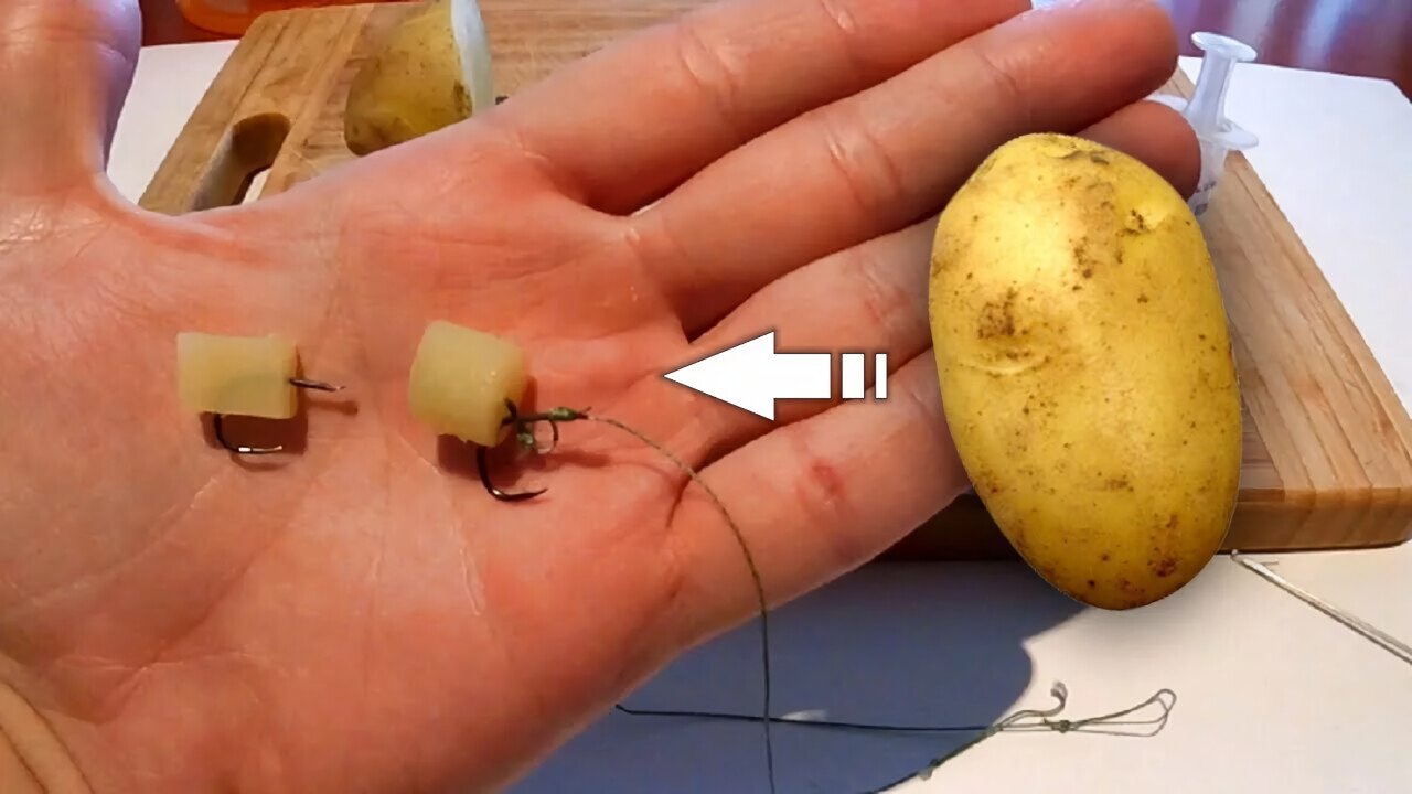 Насадка из картошки, которую обожает крупная рыба: как приготовить правильно