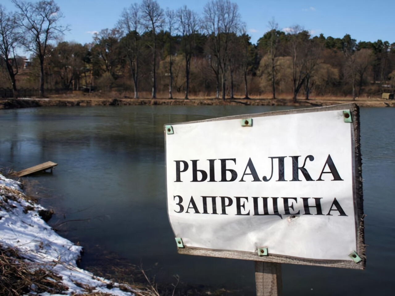 Запреты на рыбалку в Приморье 2025